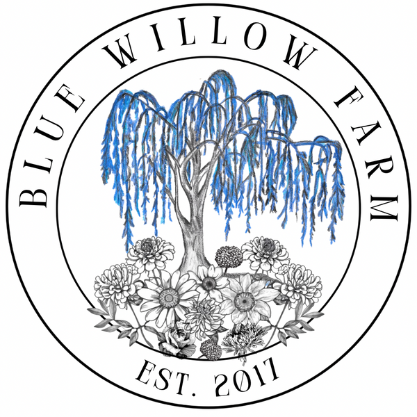Blue Willow Farm