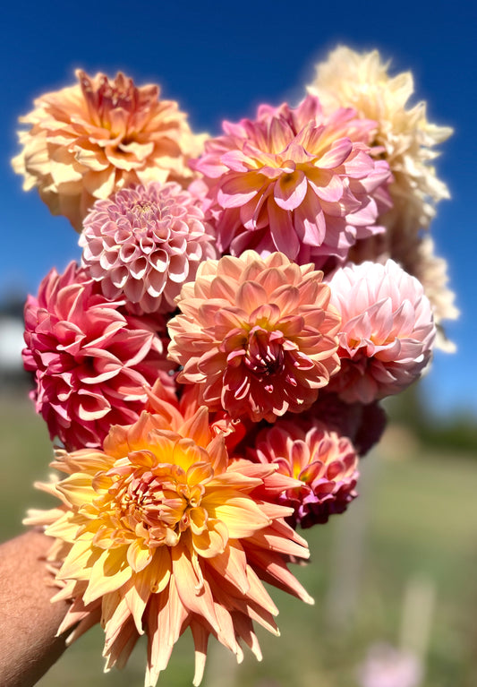Summer flower subscription